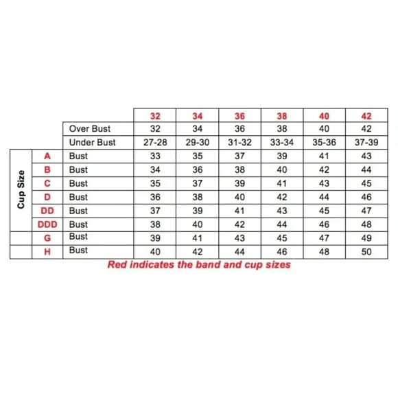 40C Felina 110040 Lana‎ Embroidered Unlined Plunge Bra White NWT - Picture 7 of 8